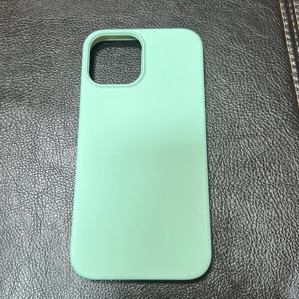 Mint Silicone IPhone 12/13 Pro Max Case